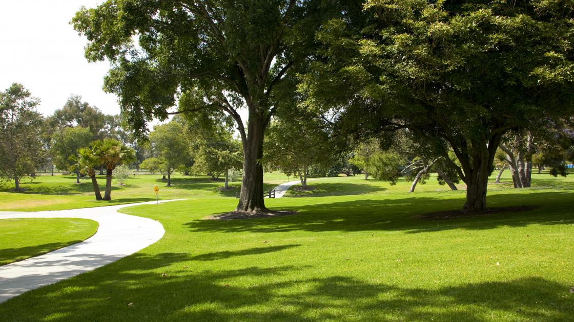 Fountain Valley